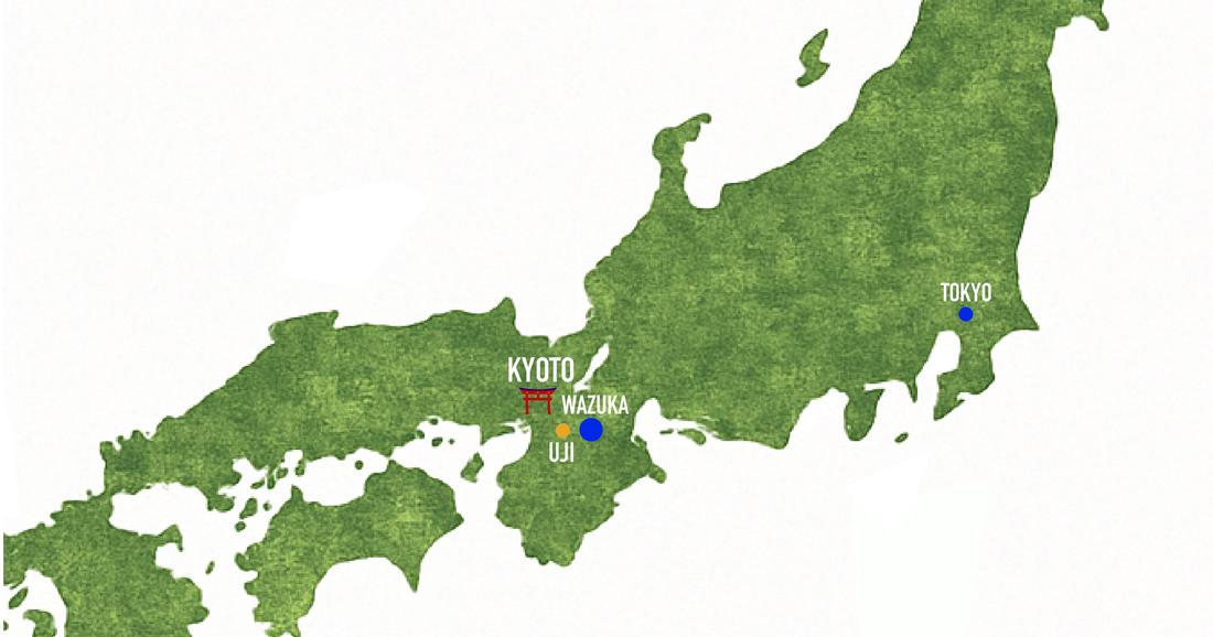 What Makes Uji Matcha So Special?