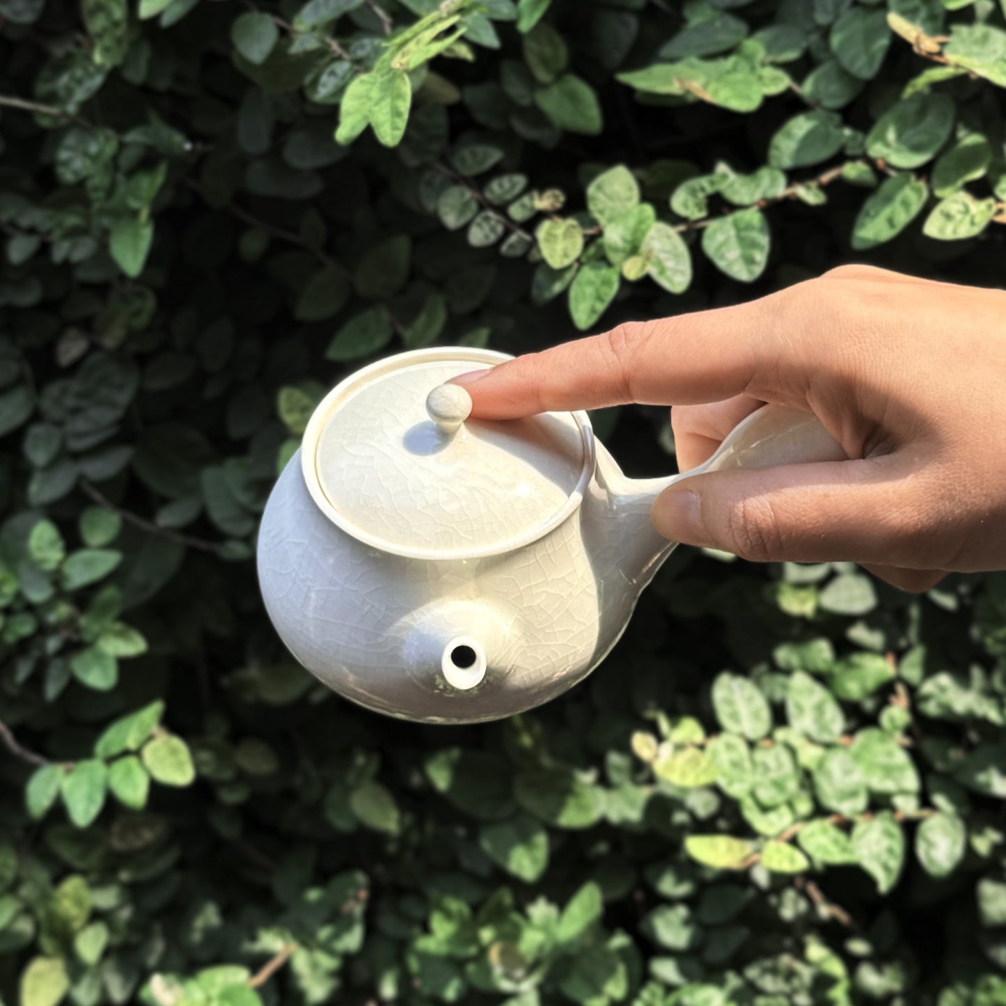 A hand holding Awayuki Teapot in front of a leaves wall