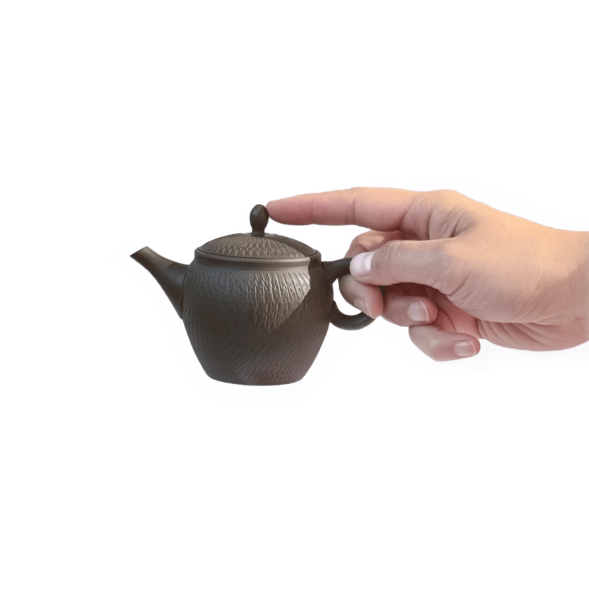 Hand holding GYOKKO TOBIKANNA Teapot on a white background