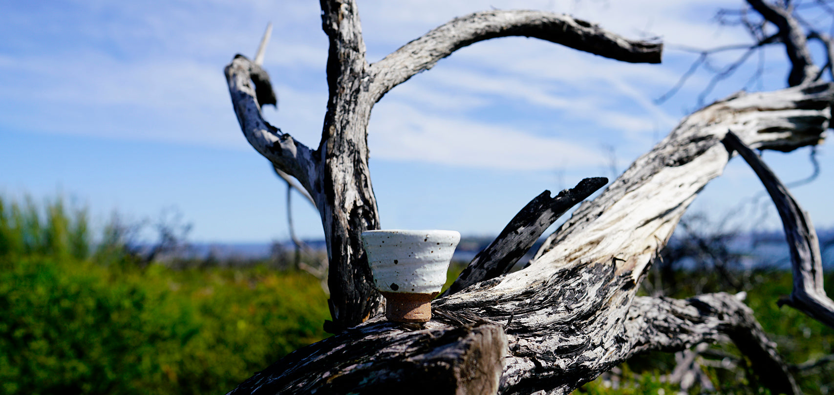 HANTEN cup sits on the branch in front the sea