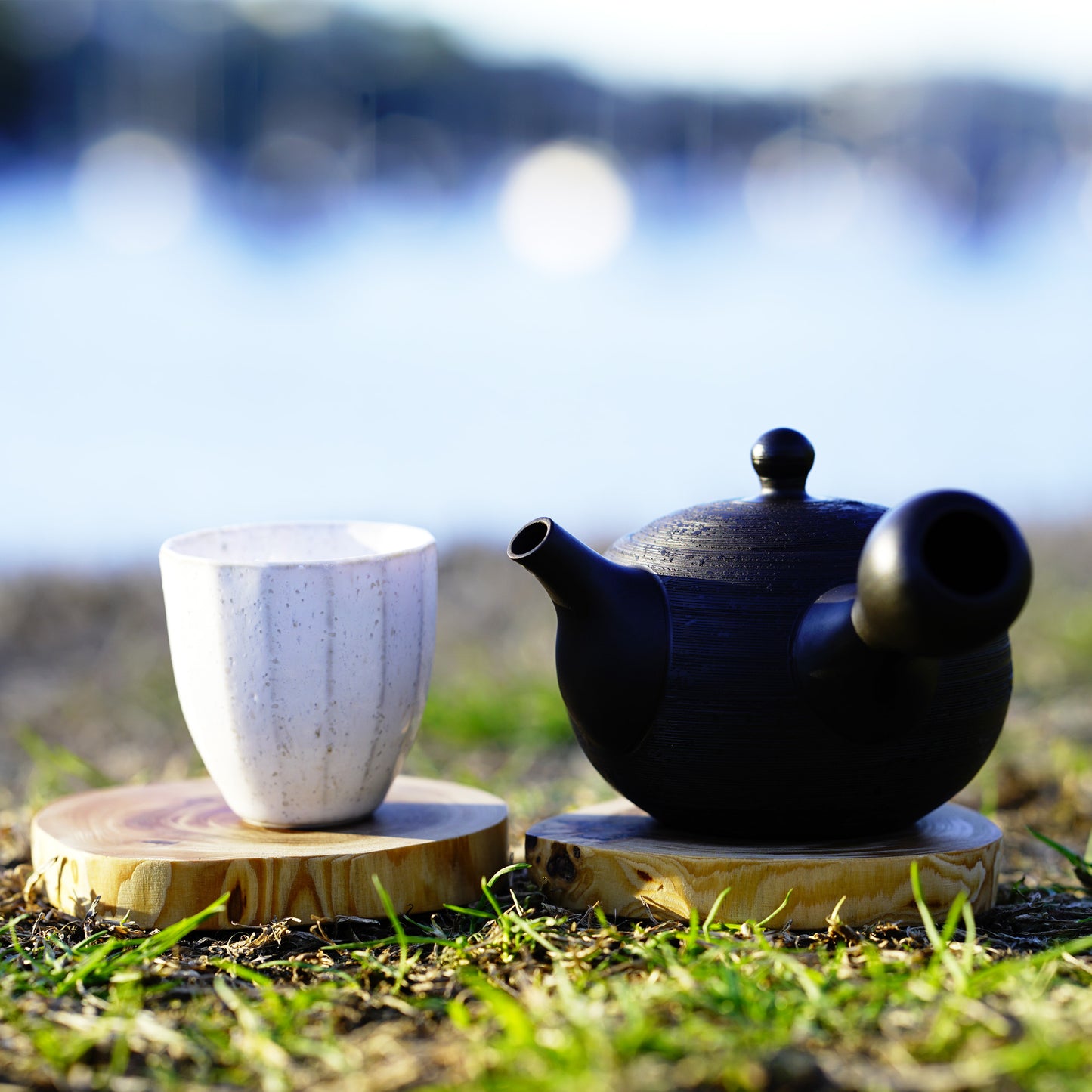 HOKURYU Handmade Ceramic Teapot - 180ml, Tokoname Japan