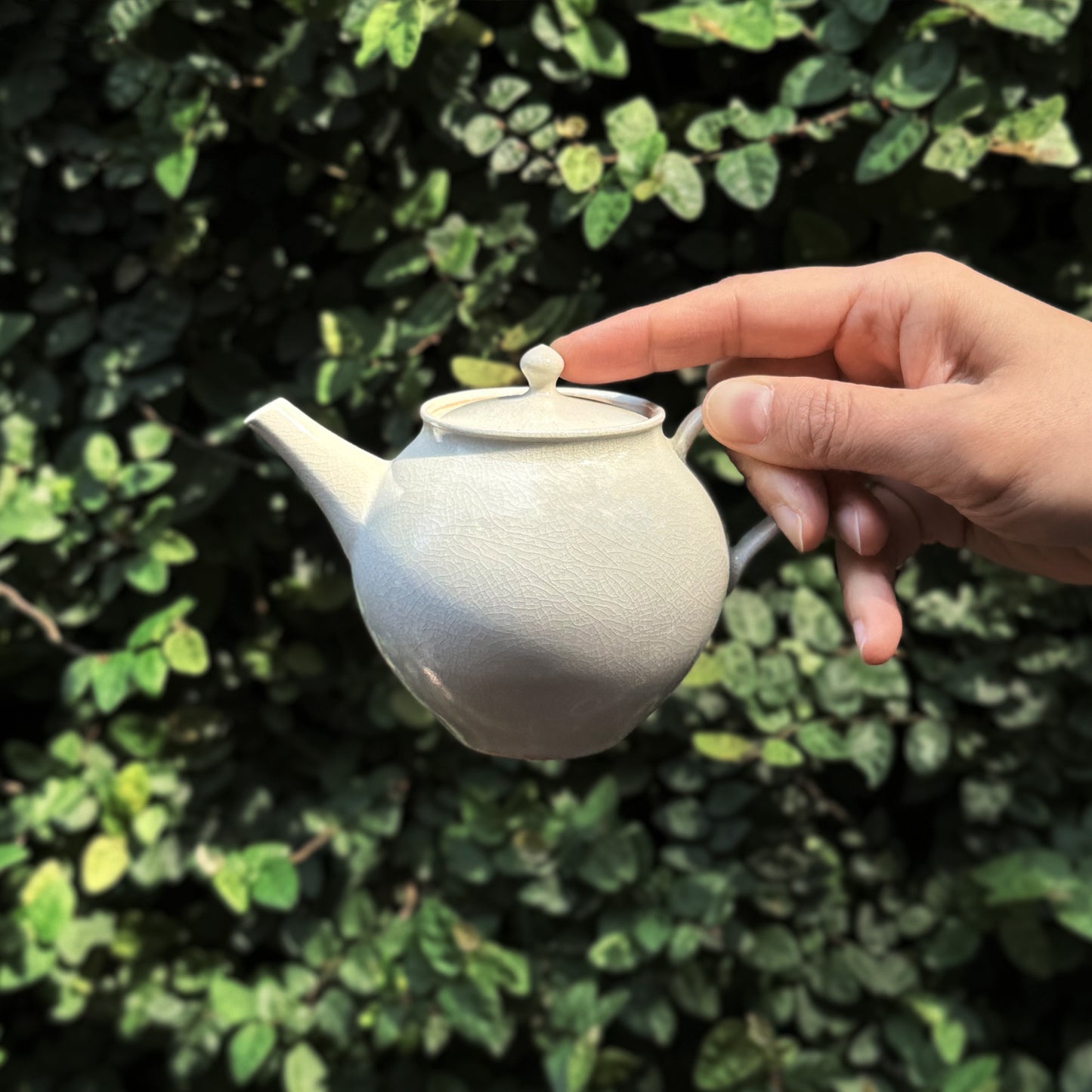 A hand holding Hatsuyuki Teapot in front of a leaves wall
