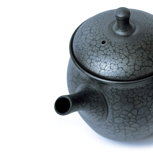 Tokoname-yaki Teapot by Shōji Umehara - Handmade Japanese Kyusu | TENMOKU