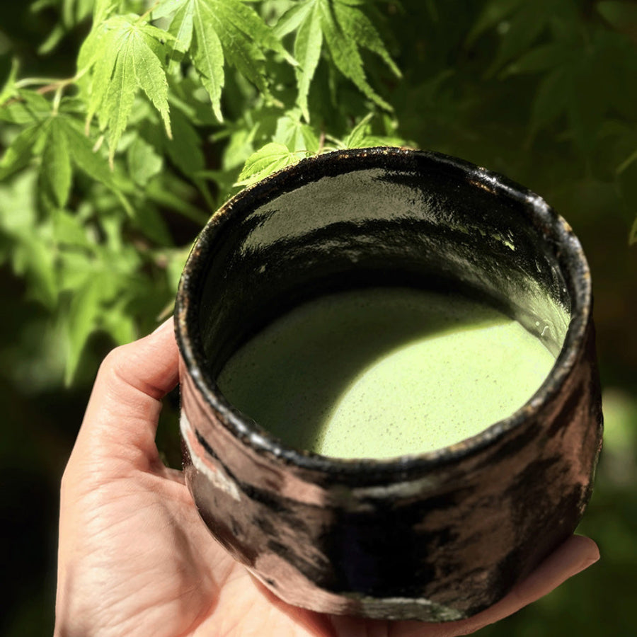 Hand holding a black matcha bowl filled with matcha against a natural background