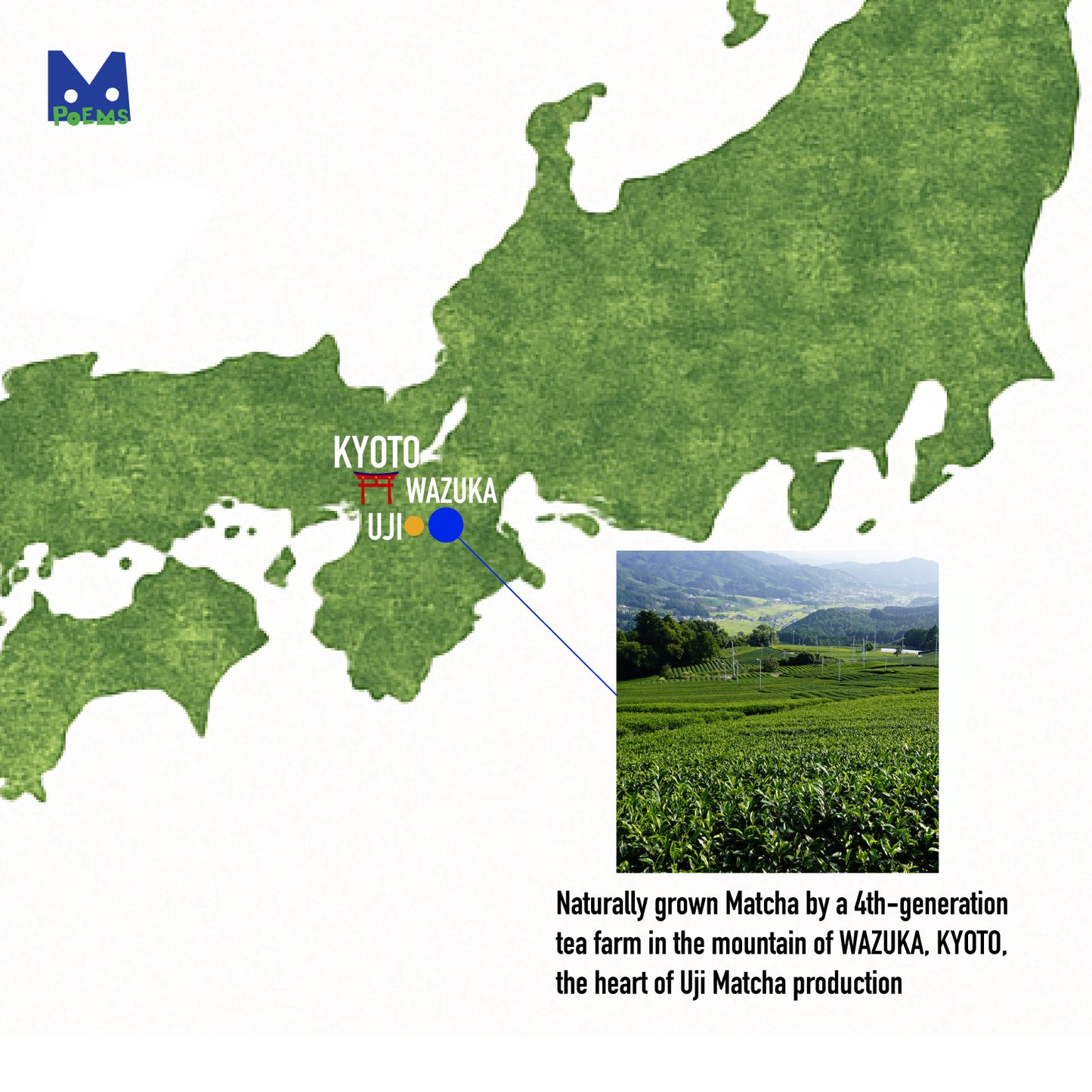 Map of Japan highlighting Wazuka with a tea plantation image and text about the tea farm