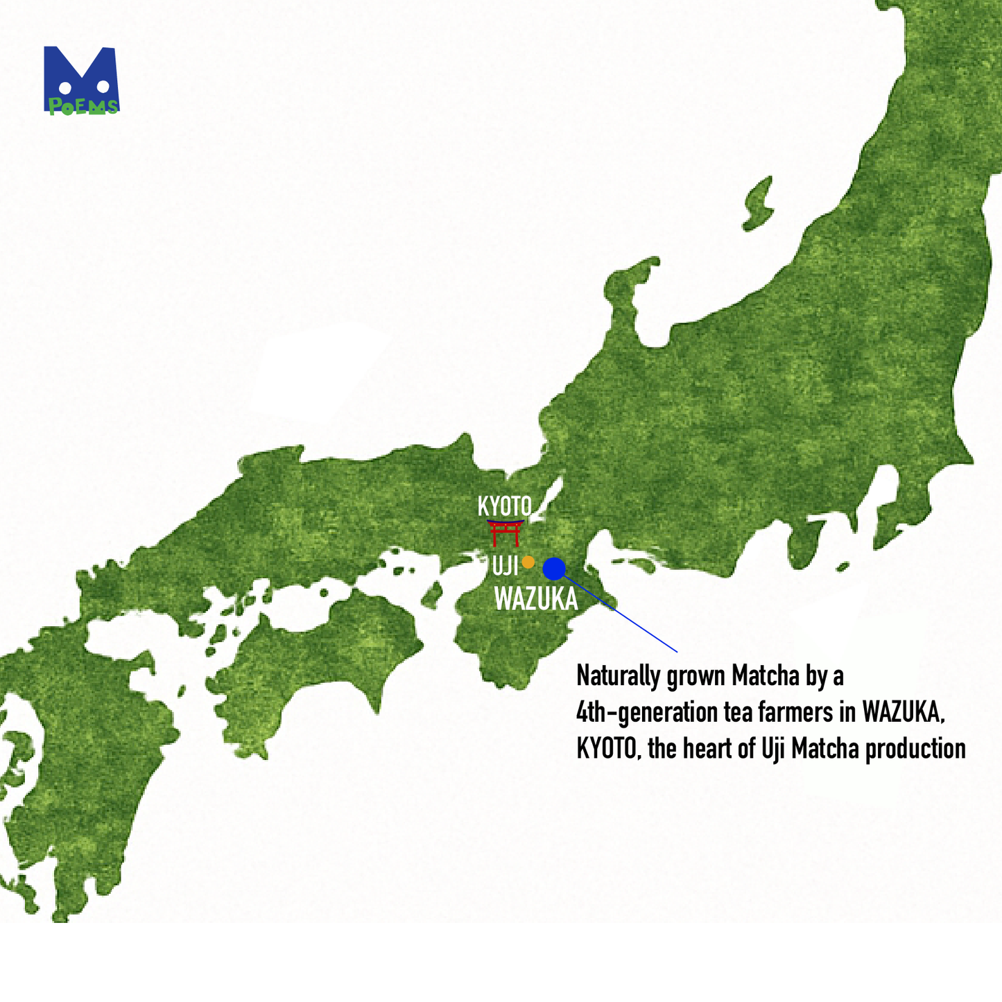 KIRI Matcha - Organic Single Cultivar Ceremonial Grade Matcha Powder from Kyoto - 30g Tin by POEMS Tea Atelier
