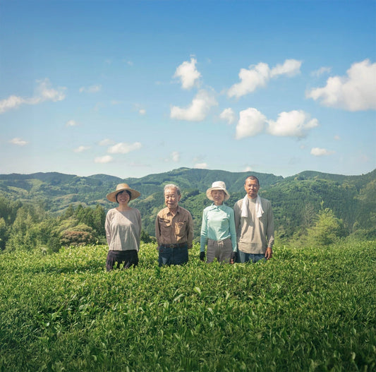Our Organic Teas from Shizuoka