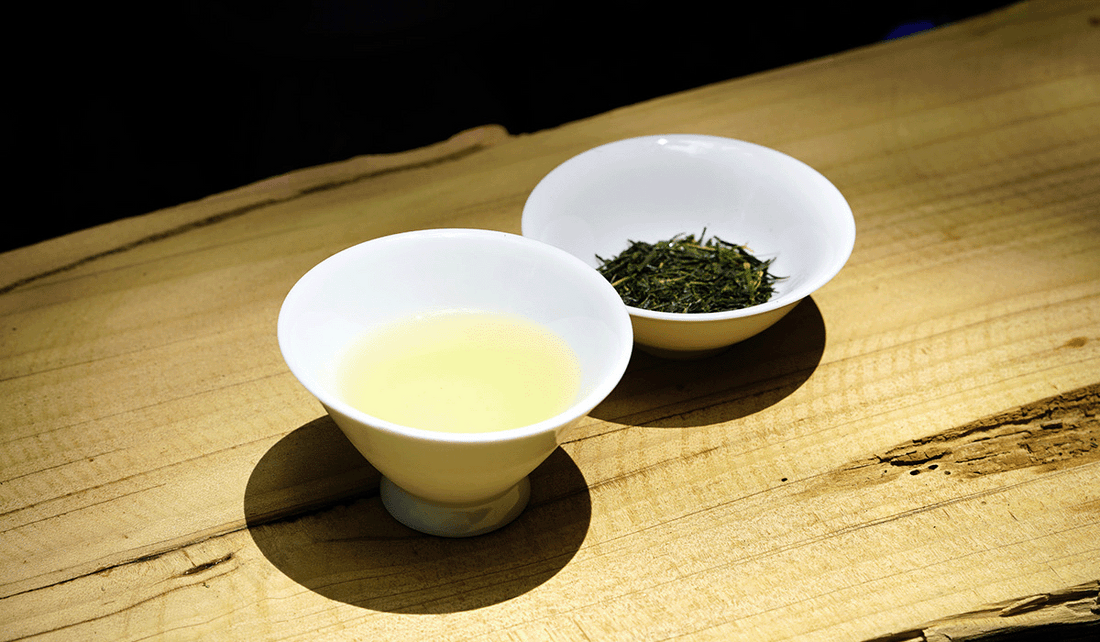 What is SENCHA?