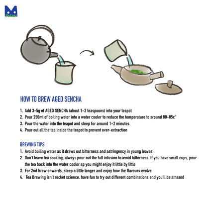 Illustration of how to brew aged sencha tea with teapot and tea leaves.