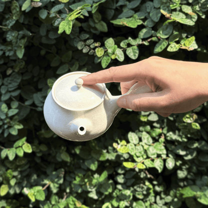 AWAYUKI Handmade Ceramic Kyusu Teapot - 150ml, Yokkaichi Japan
