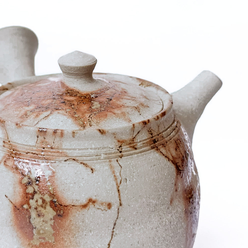 Tokoname-yaki Teapot by Jin Tanikawa - Handmade Japanese Kyusu | HONO