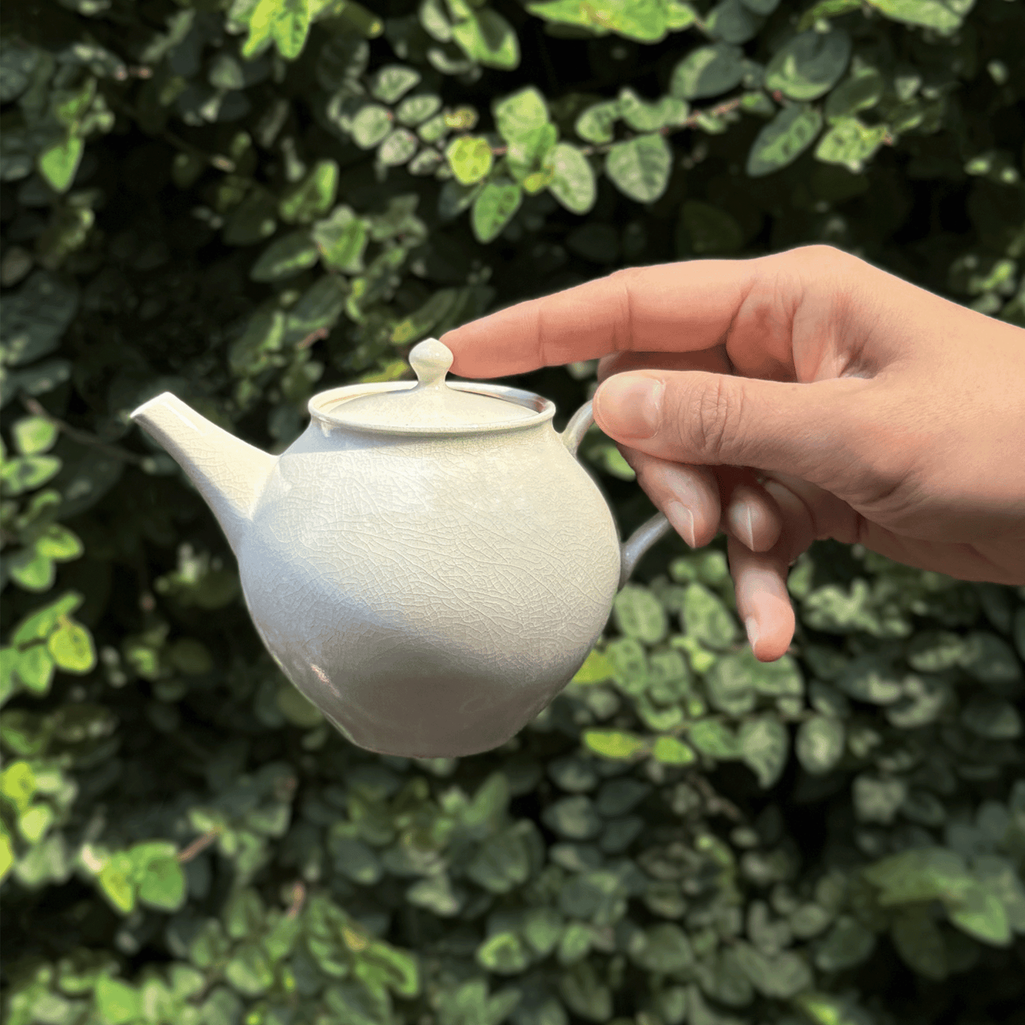 HATSUYUKI Handmade Ceramic Kyusu Teapot - 240ml, Yokkaichi Japan