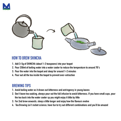 Illustration of tea brewing process with text on how to brew Shincha tea.