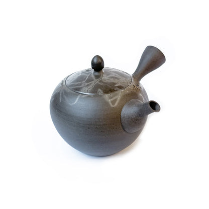 Tokoname-yaki Teapot by Hiroyuki Mizuno - Handmade Japanese Kyusu |  TSUKIKAGE