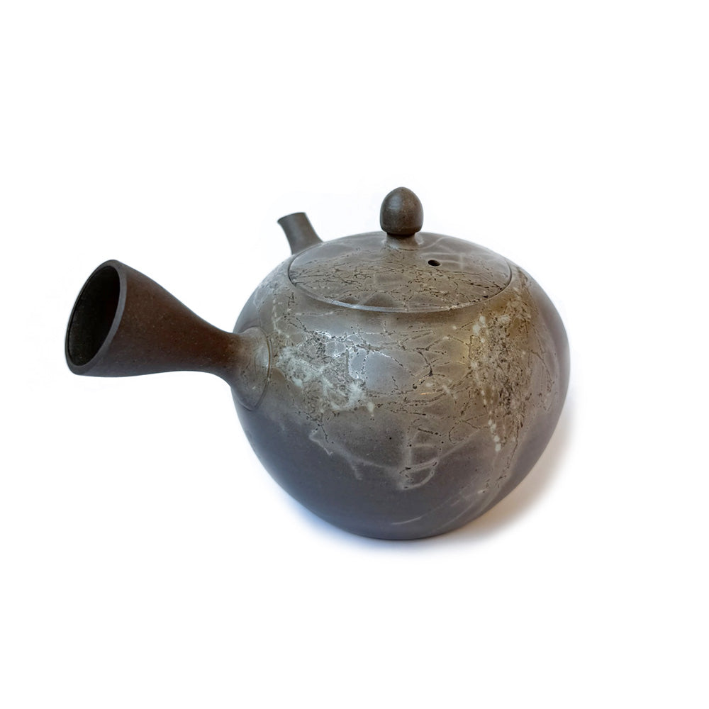 Tokoname-yaki Teapot by Hiroyuki Mizuno - Handmade Japanese Kyusu |  TSUKIKAGE
