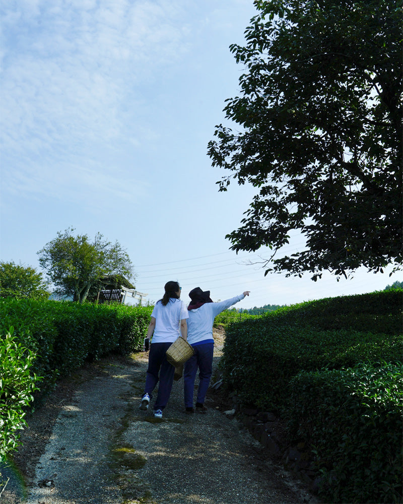 our team member walks alongside the tea farmer on a path lined with green hedges and trees under a clear blue sky